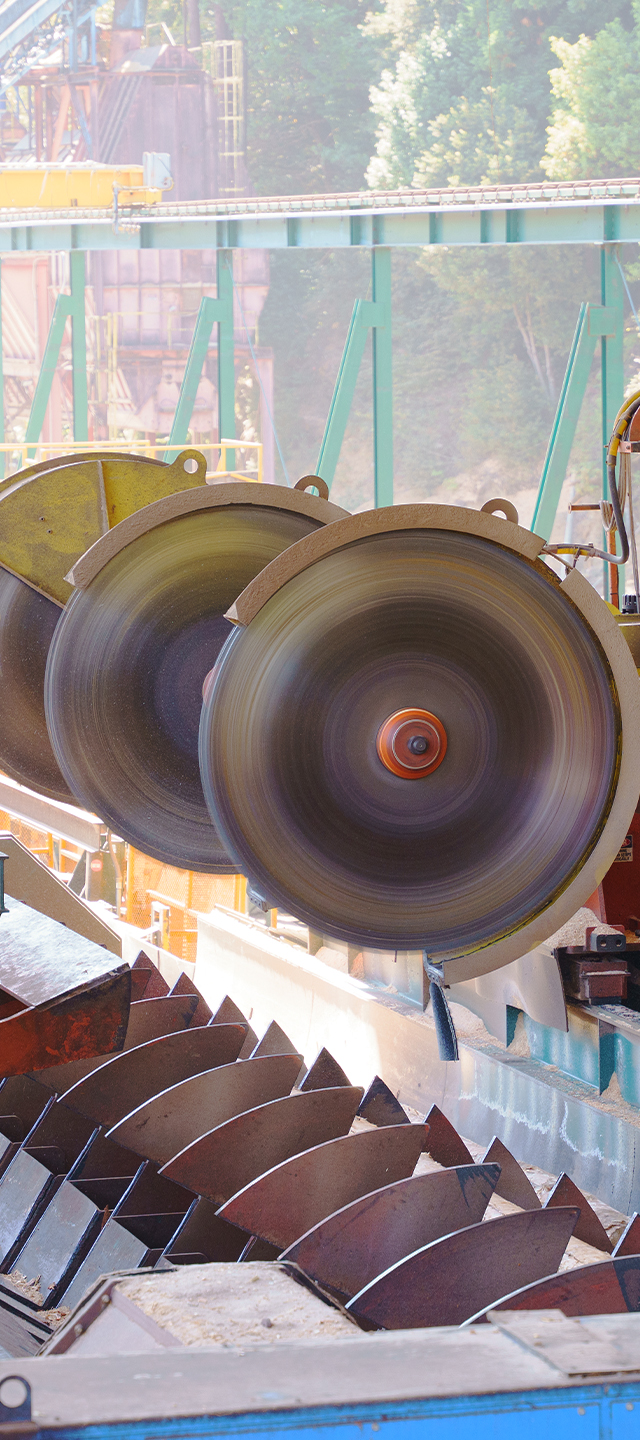 Sawmill Processing